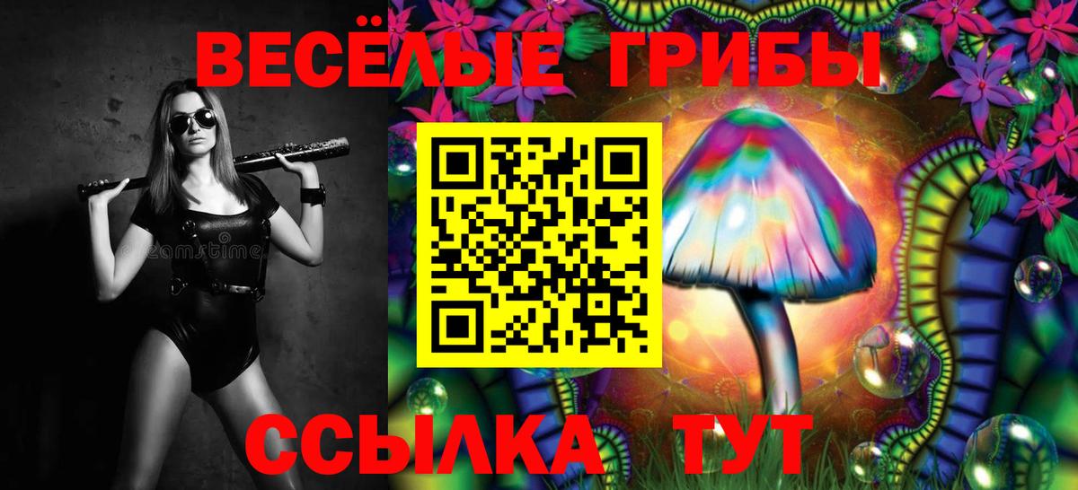 Псилоцибиновые грибы ЛСД  Вход с VPN  Славянск-на-Кубани  продажа наркотиков  Псилоцибиновые грибы ЛСД 