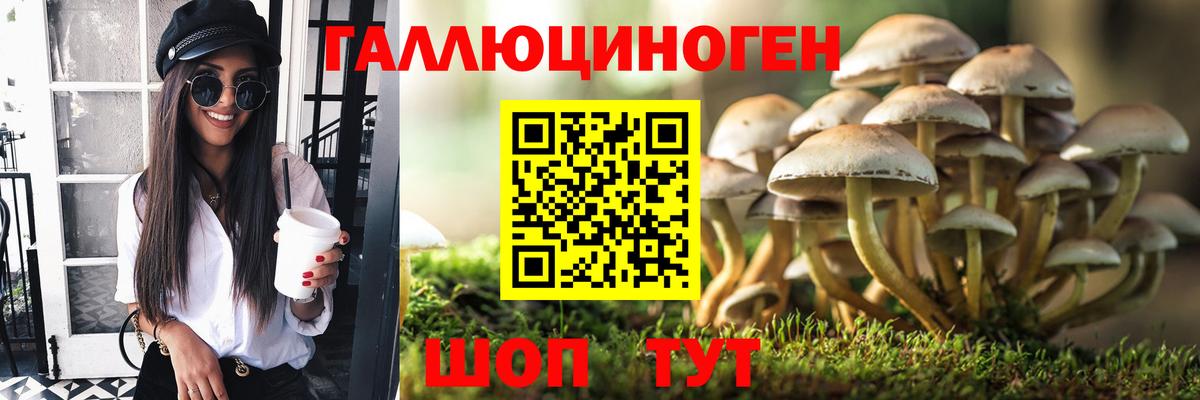 Псилоцибиновые грибы мицелий Славянск-на-Кубани